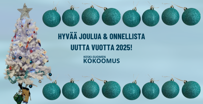 Hyvää joulua ja onnellista uutta vuotta 2025!